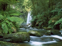 Hopetoun Falls, Aire River, Otway National Park, Victoria, Australia.jpg