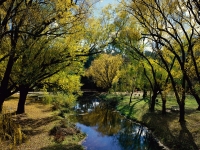 Morse's Creek, Bright, Victoria, Australia.jpg