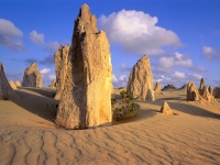 Pinnacles Desert, Nambung National Park, Australia.jpg