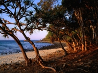 Tea Tree Beach, Noosa National Park, Queensland, Australia.jpg
