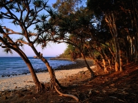 tea-tree-beach-noosa-wallpapers_9350_1600x1200.jpg